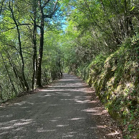 Storico A Valle San Martino Di Spoleto