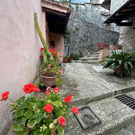 Storico A Valle San Martino Di *