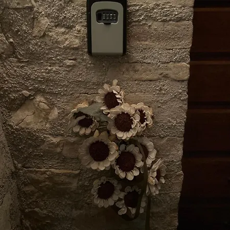 Storico A Valle San Martino Di Appartamento Spoleto